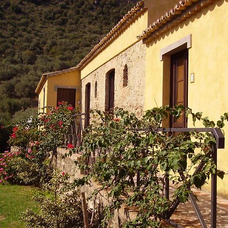 Azienda Agrituristica Biologica Il Querceto Santa Severina Dış mekan fotoğraf
