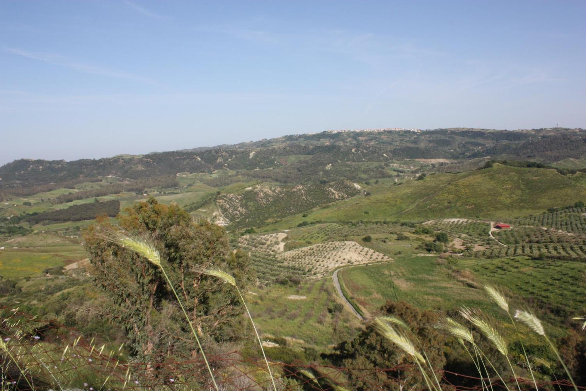Azienda Agrituristica Biologica Il Querceto Santa Severina Dış mekan fotoğraf