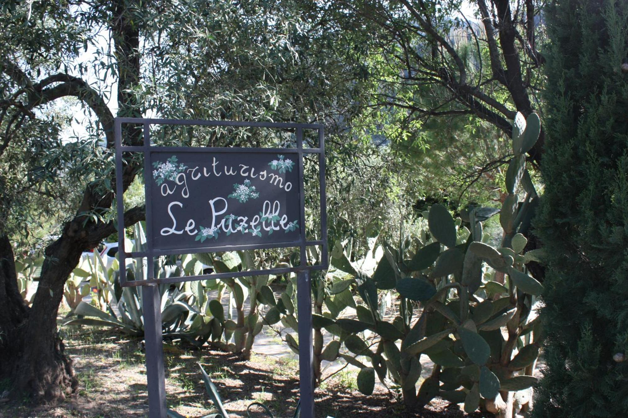 Azienda Agrituristica Biologica Il Querceto Santa Severina Dış mekan fotoğraf