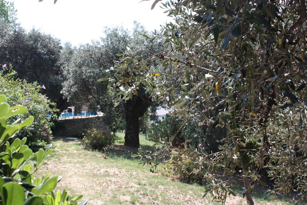Azienda Agrituristica Biologica Il Querceto Santa Severina Dış mekan fotoğraf