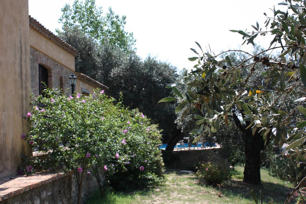 Azienda Agrituristica Biologica Il Querceto Santa Severina Dış mekan fotoğraf