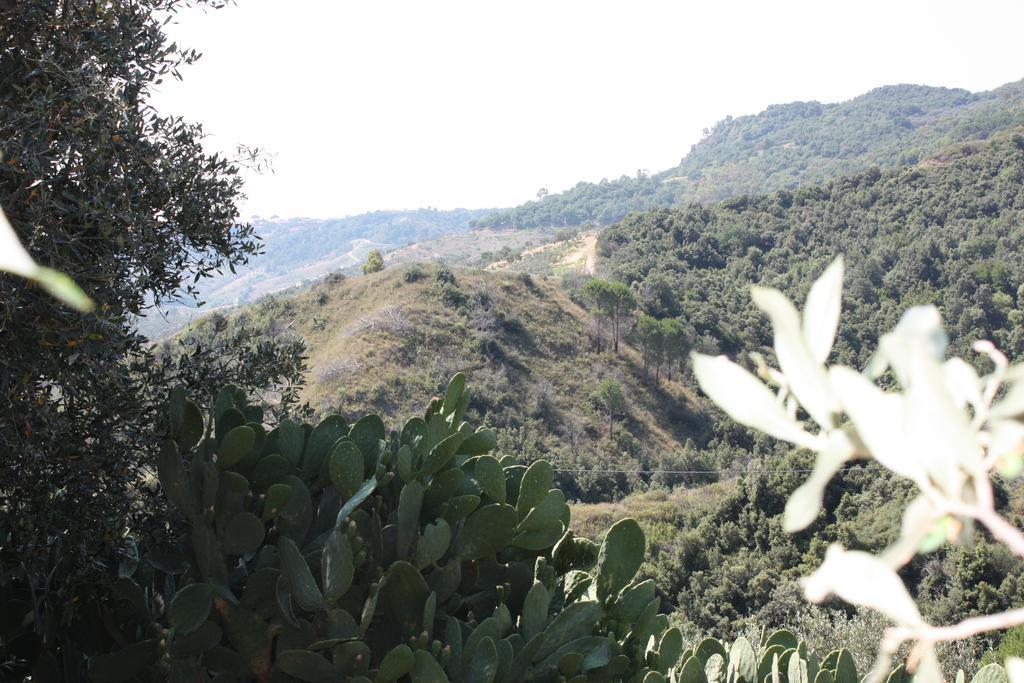 Azienda Agrituristica Biologica Il Querceto Santa Severina Dış mekan fotoğraf
