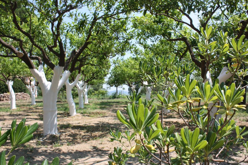 Azienda Agrituristica Biologica Il Querceto Santa Severina Dış mekan fotoğraf