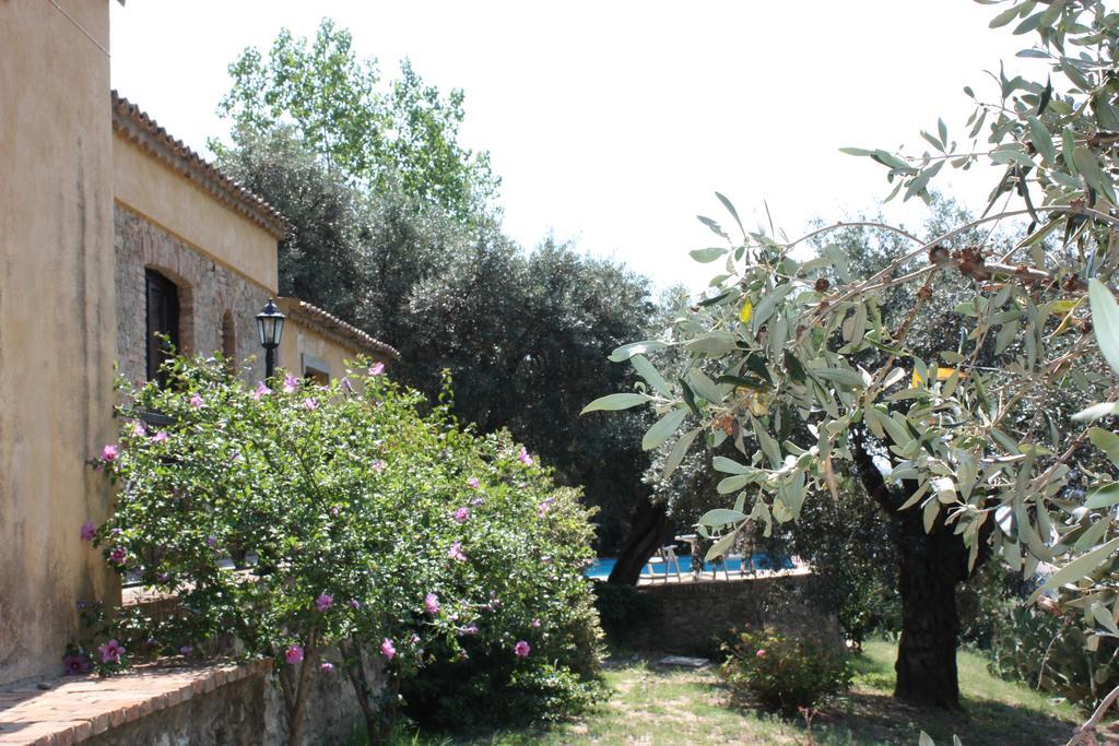 Azienda Agrituristica Biologica Il Querceto Santa Severina Dış mekan fotoğraf