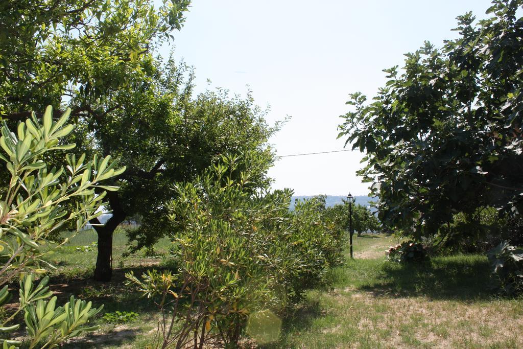 Azienda Agrituristica Biologica Il Querceto Santa Severina Dış mekan fotoğraf