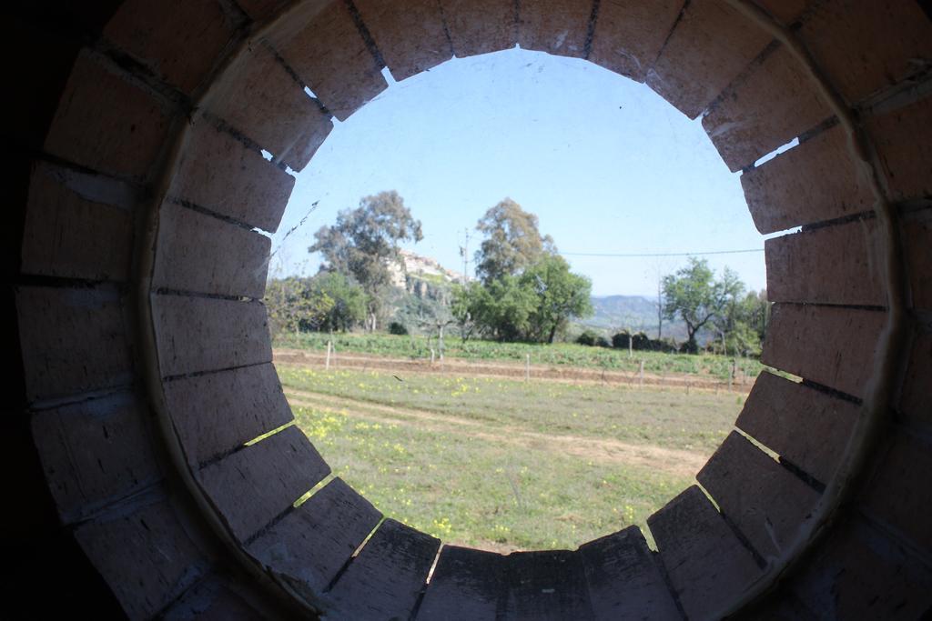 Azienda Agrituristica Biologica Il Querceto Santa Severina Dış mekan fotoğraf