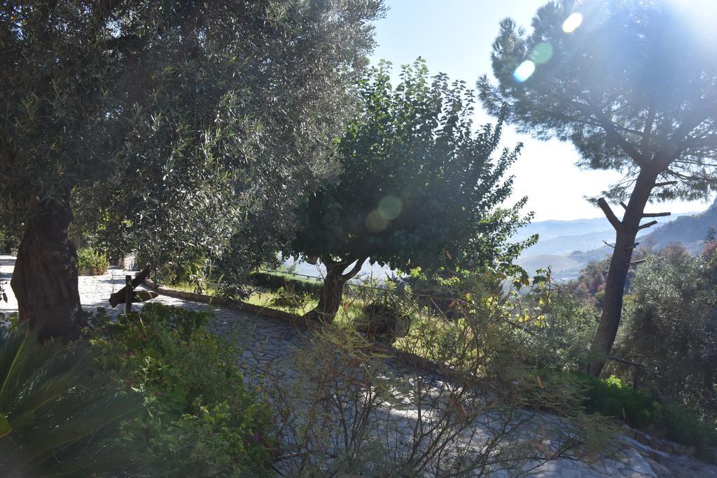 Azienda Agrituristica Biologica Il Querceto Santa Severina Dış mekan fotoğraf