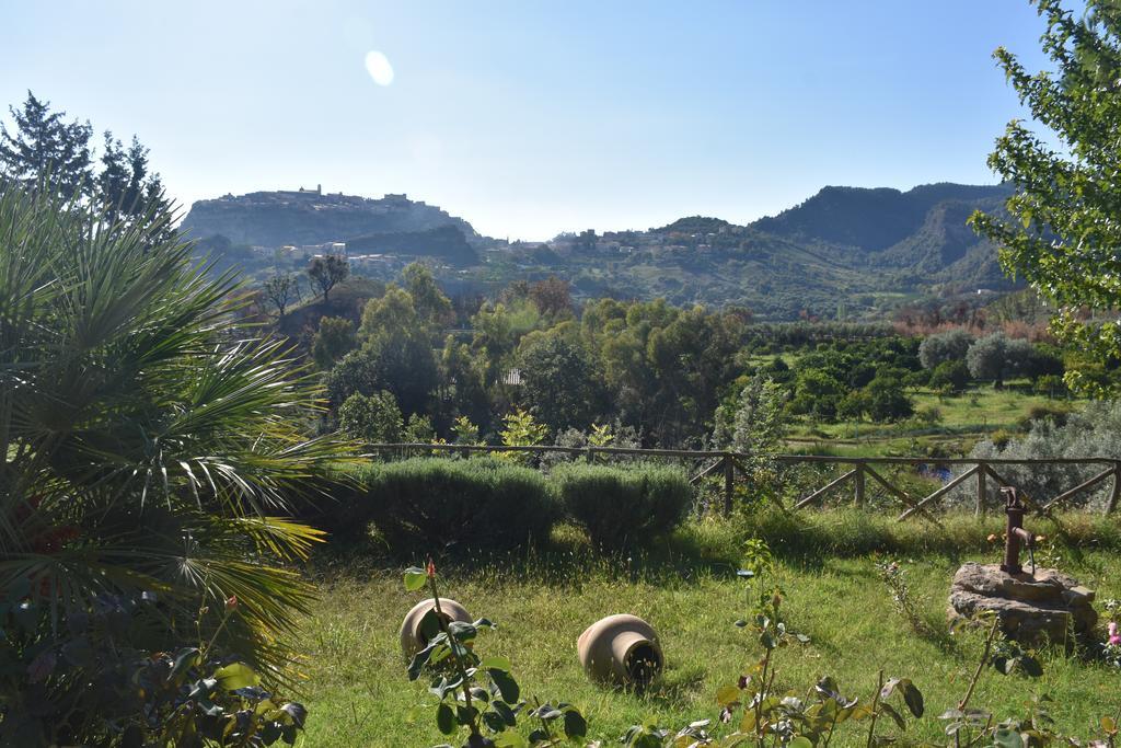 Azienda Agrituristica Biologica Il Querceto Santa Severina Dış mekan fotoğraf