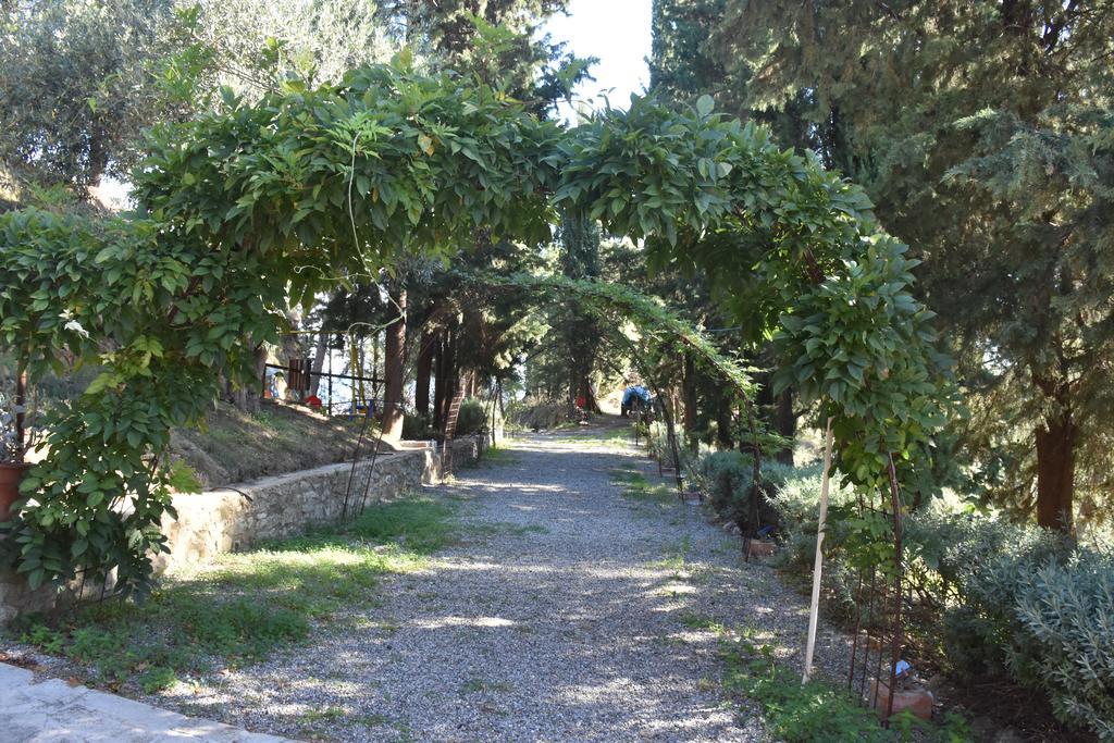 Azienda Agrituristica Biologica Il Querceto Santa Severina Dış mekan fotoğraf