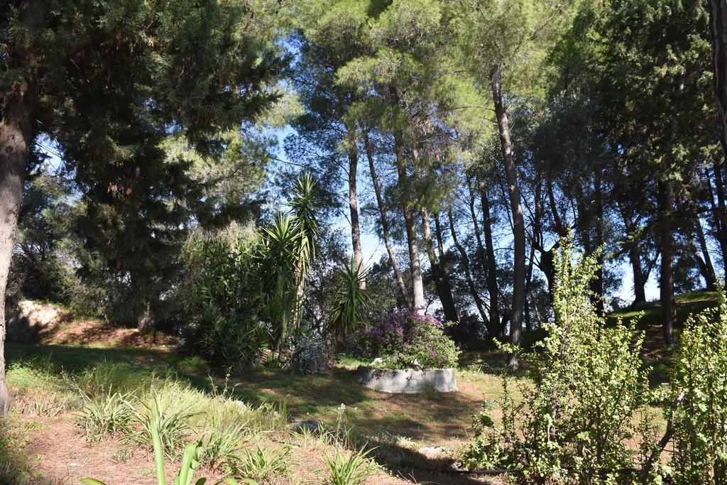 Azienda Agrituristica Biologica Il Querceto Santa Severina Dış mekan fotoğraf